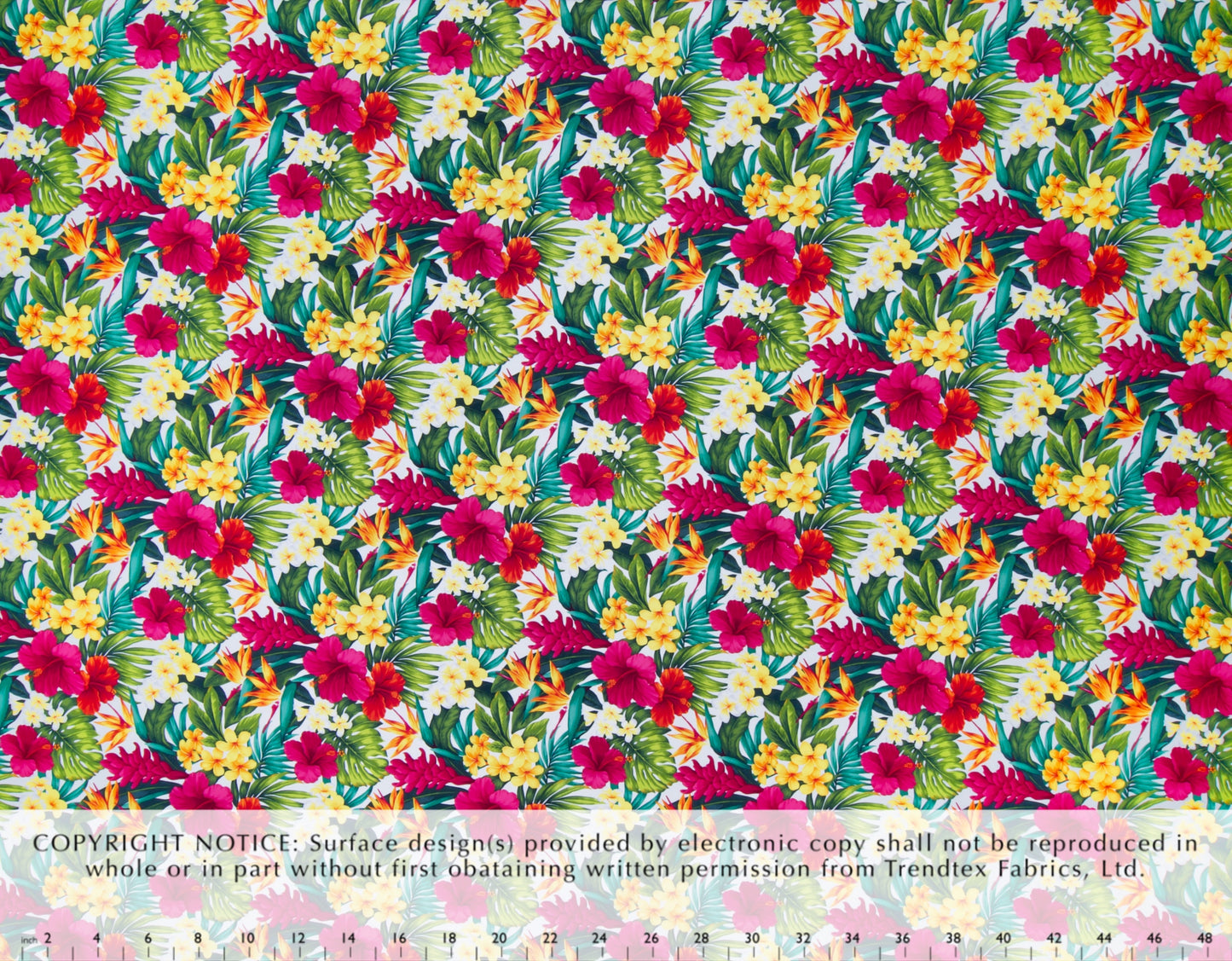 GS-004R2 White (Cotton Manoa)