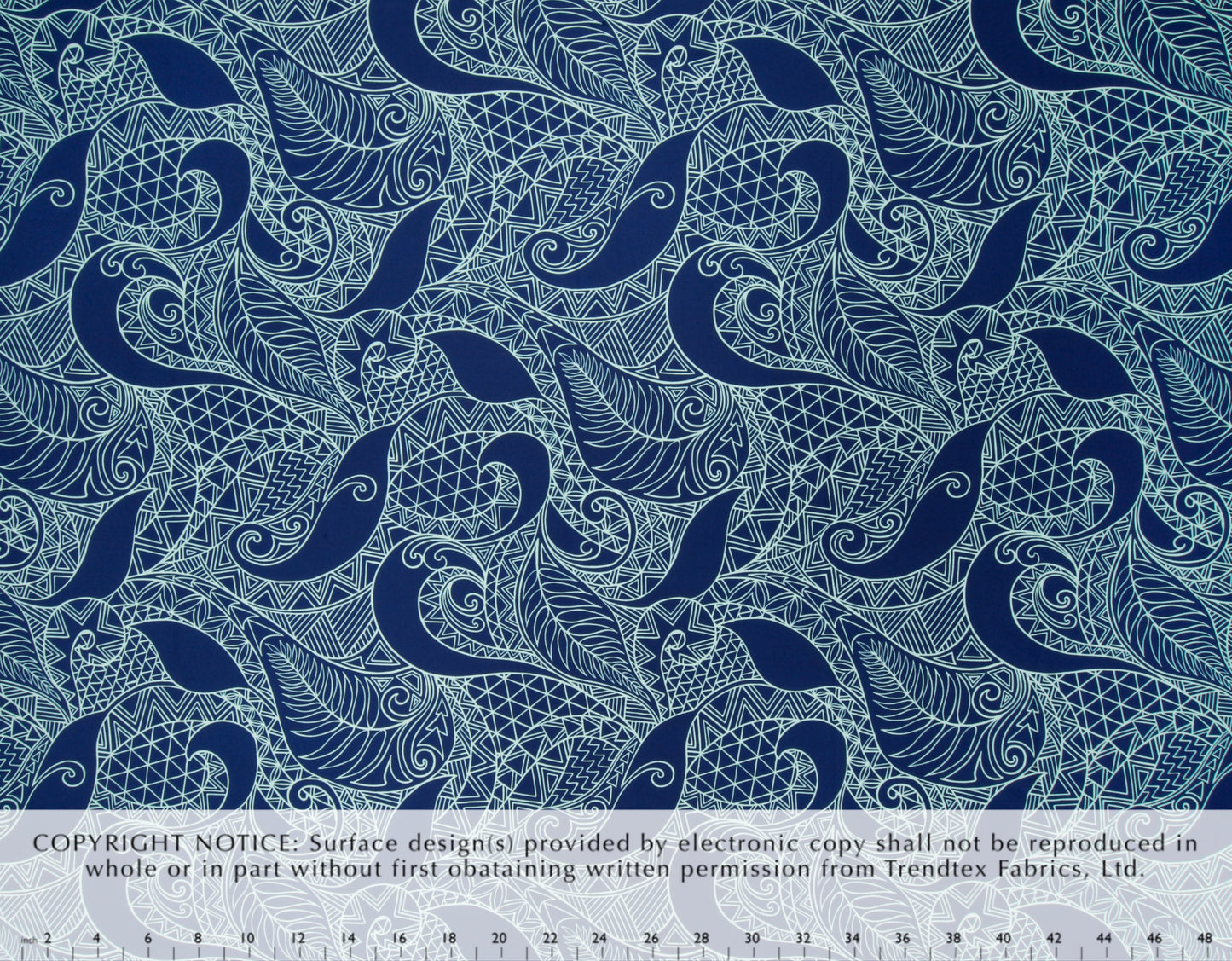 HA-049 Navy