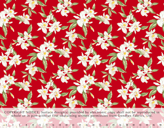 HA-058 Red