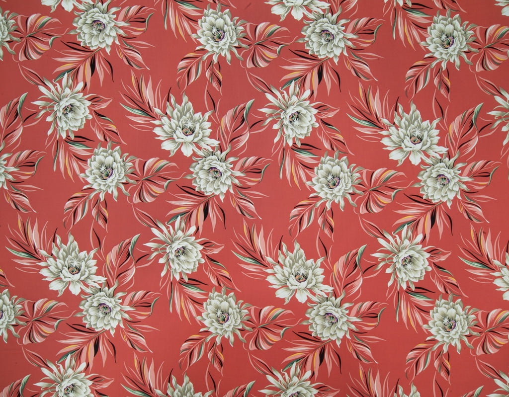 HD-034 Coral