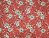 HD-034 Coral