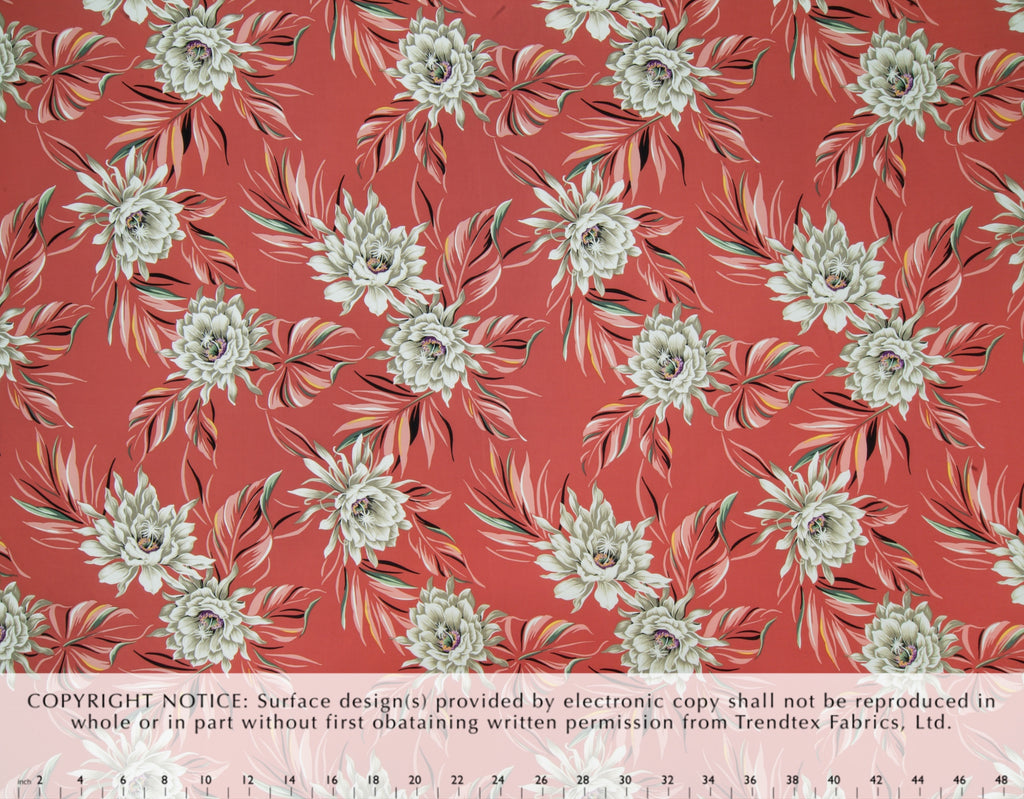 HD-034 Coral