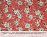 HD-034 Coral