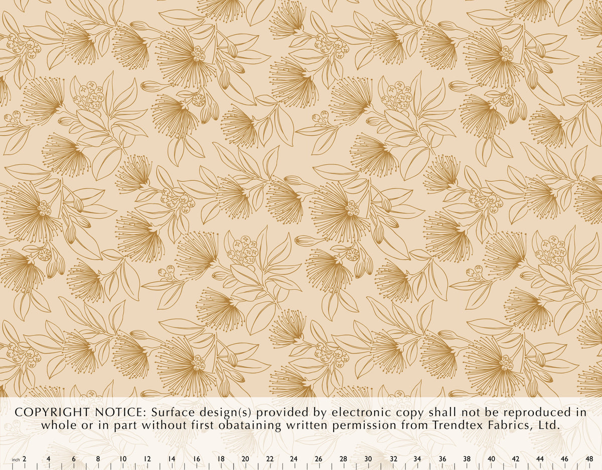HD-040 Champagne