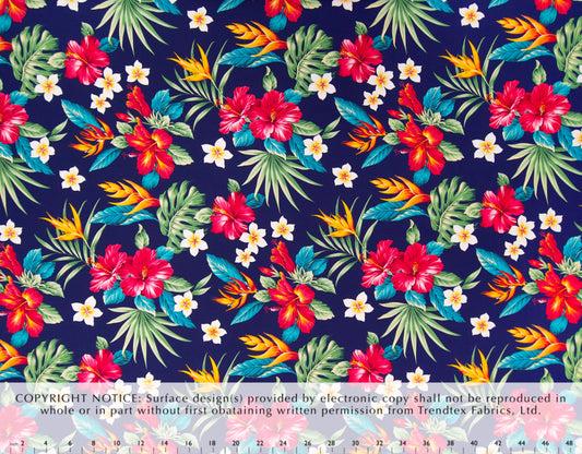 HD-055 Navy