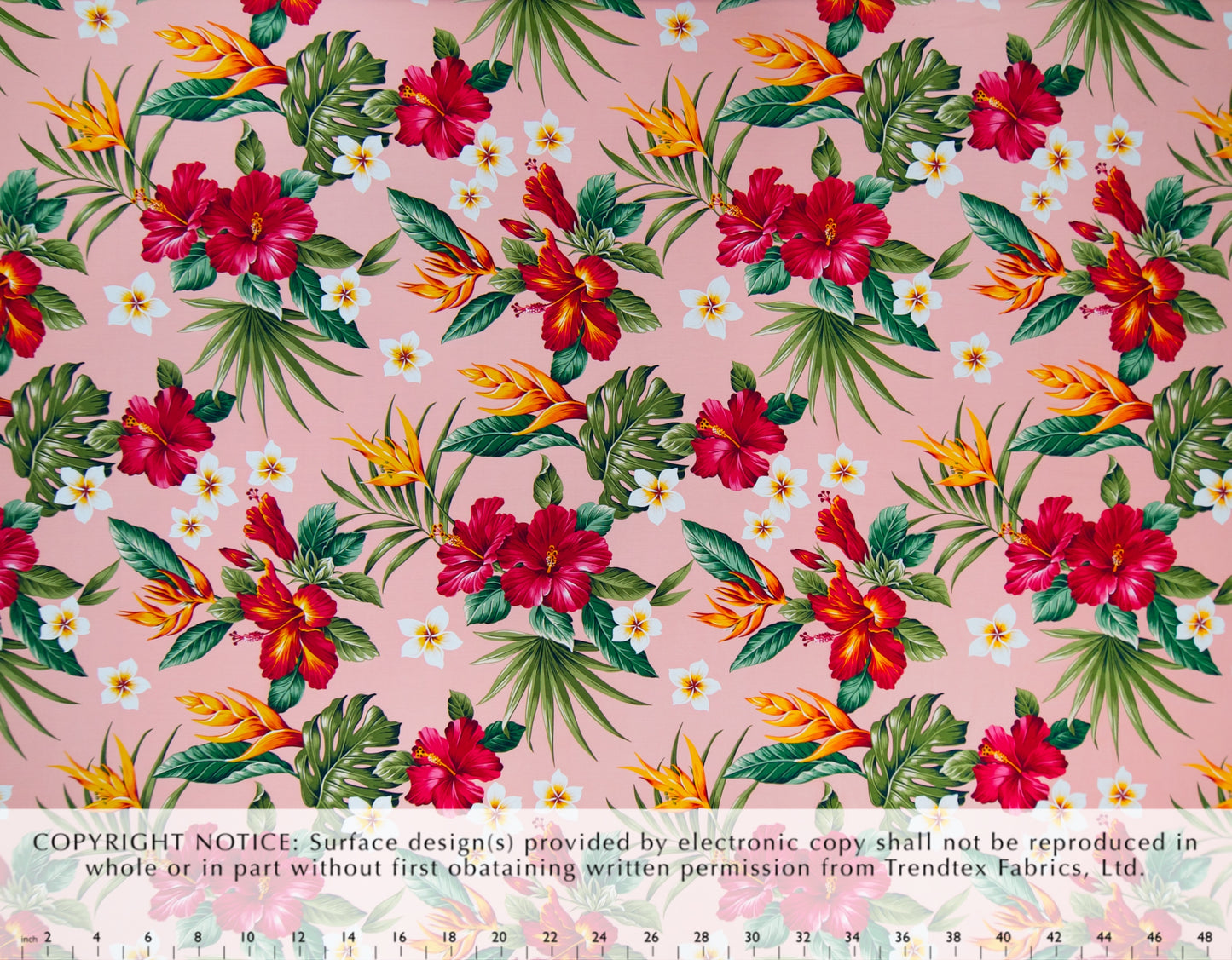 HD-055 Pink