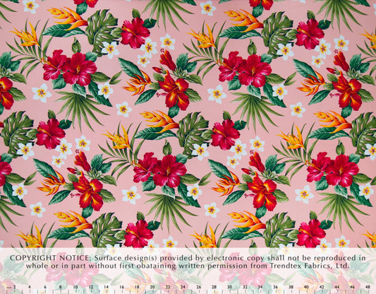 HD-055 Pink
