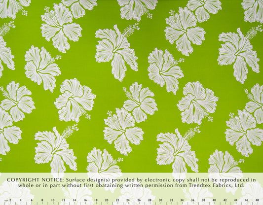 HF-058 Lime