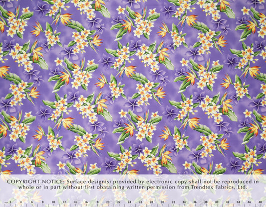 HJA-034 Purple Trendtex Fabrics Cotton Poplin trendtexfabrics.myshopify.com TrendtexFabrics