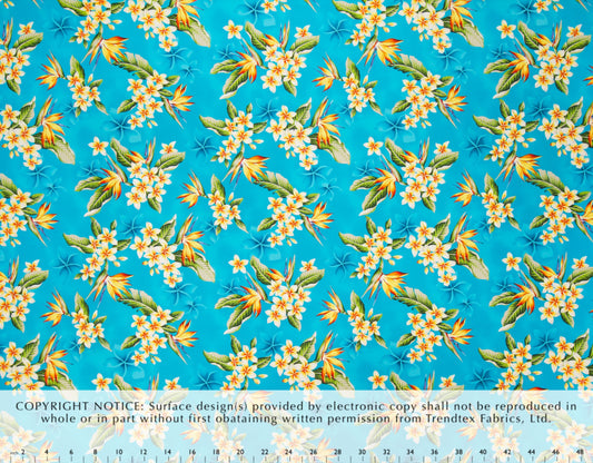 HJA-034 Turq Trendtex Fabrics Cotton Poplin trendtexfabrics.myshopify.com TrendtexFabrics