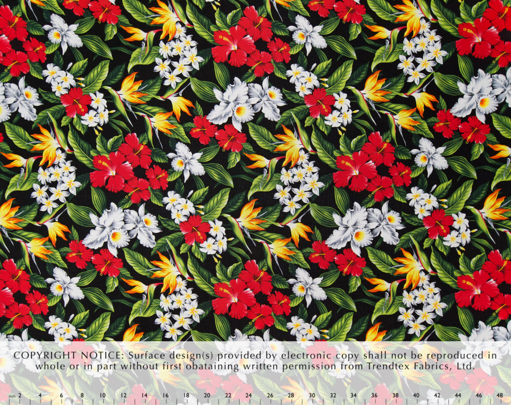 HM-040 Black  Trendtex Fabrics Cotton Dobby trendtexfabrics.myshopify.com TrendtexFabrics