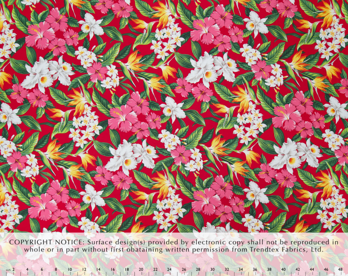 HM-040 Red Trendtex Fabrics Cotton Dobby trendtexfabrics.myshopify.com TrendtexFabrics