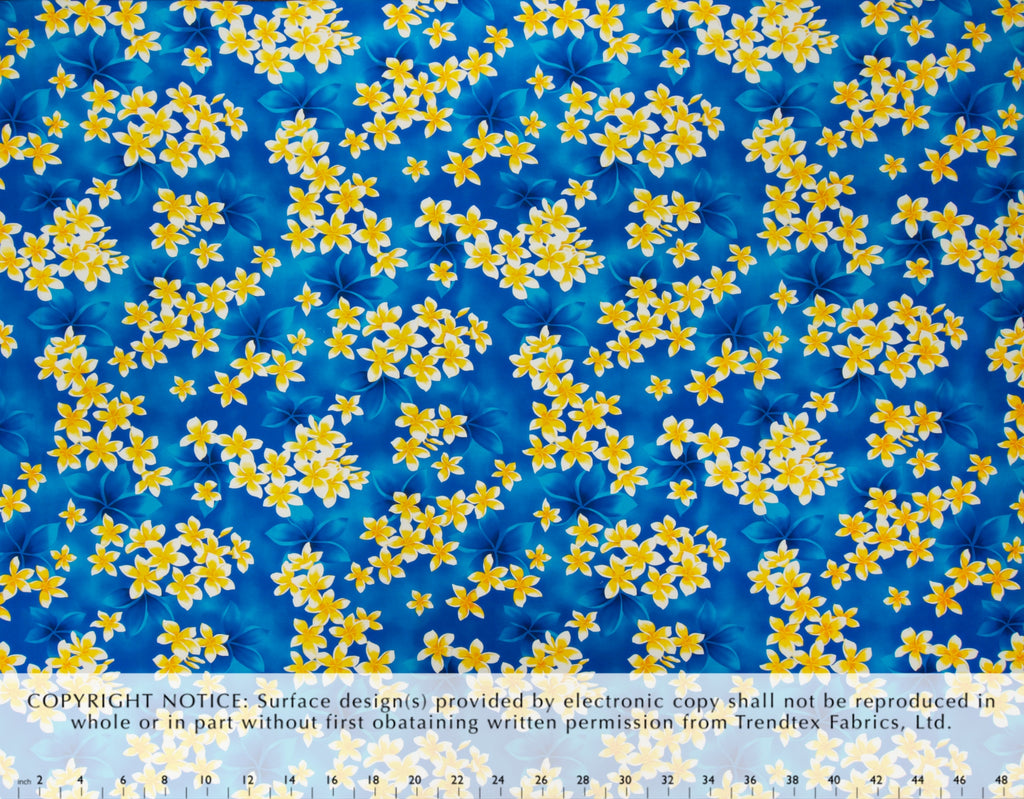 HN-044 Blue
