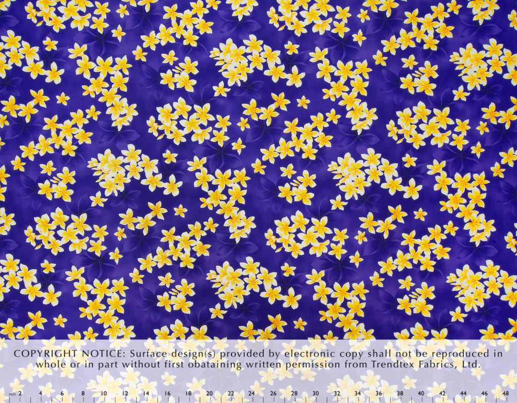 HN-044 Purple