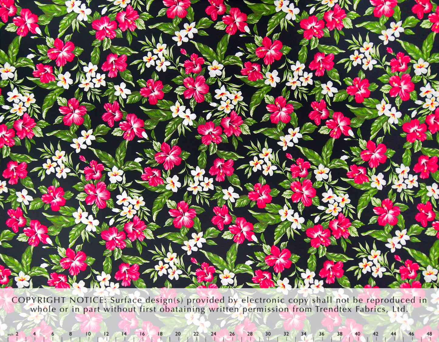 HOC-058 Black