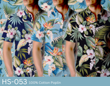 HS-053 Navy