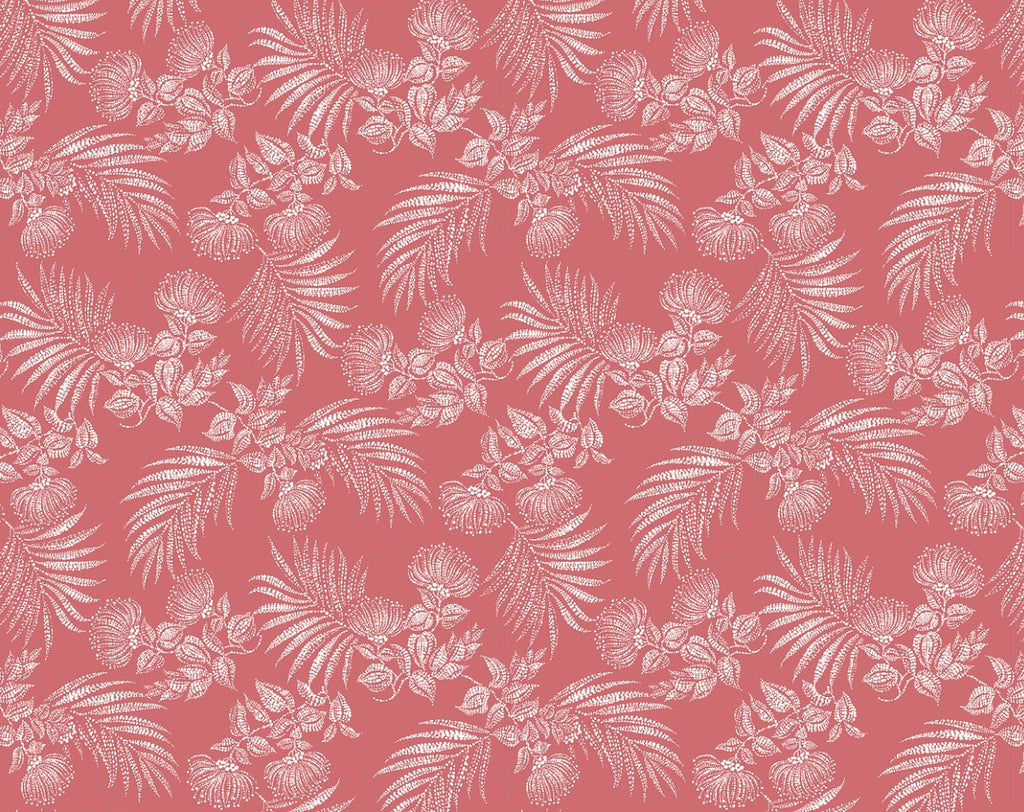 KM-002 Coral