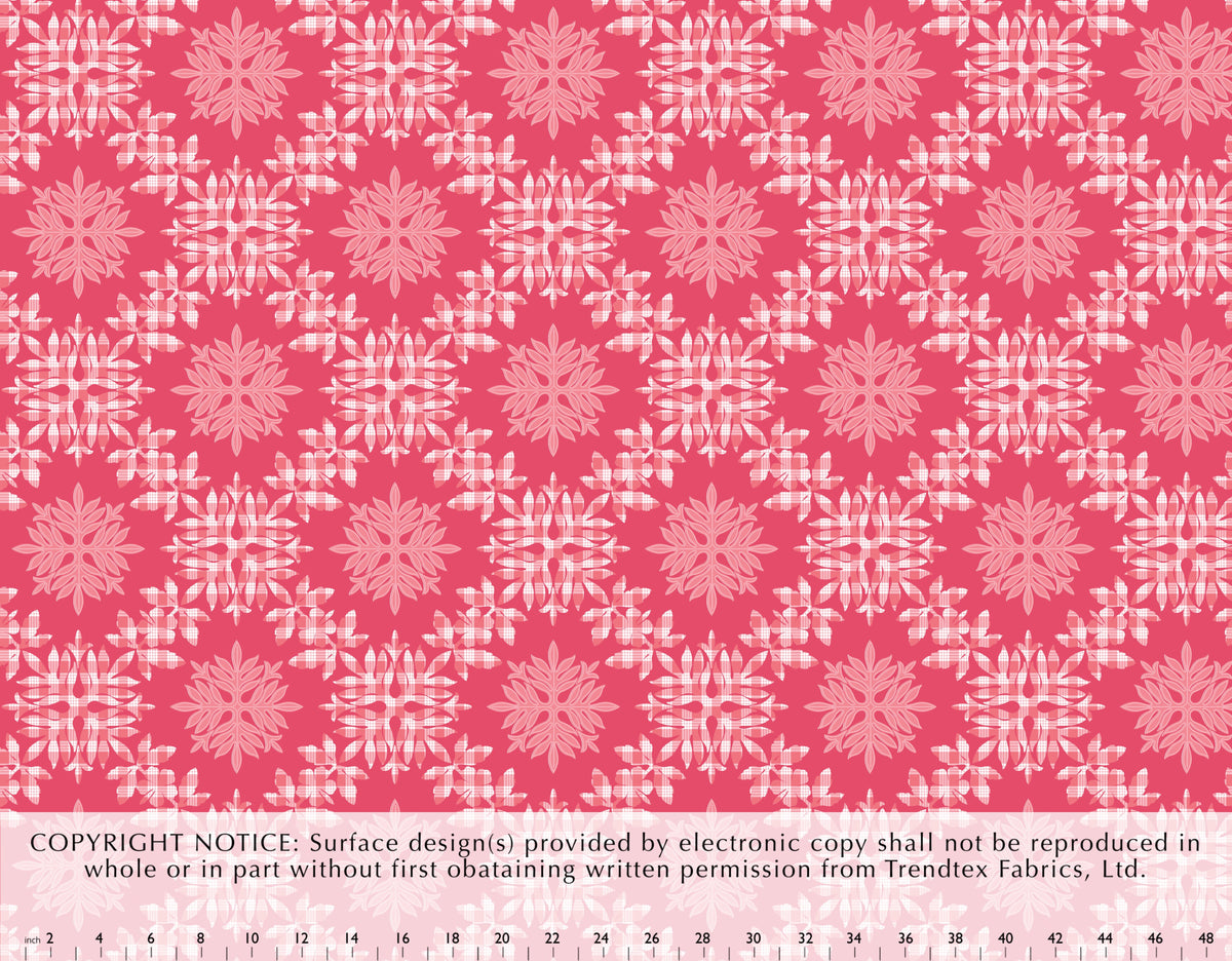 KM-003 Coral