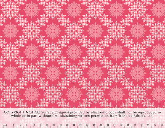 KM-003 Coral