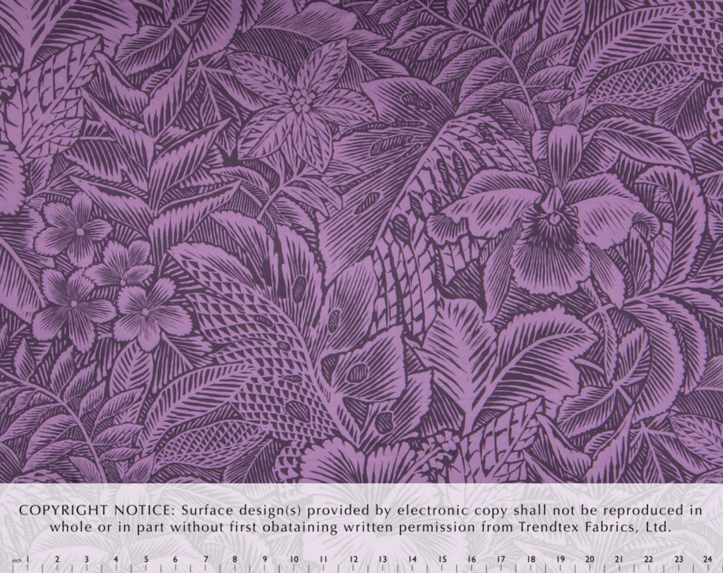 KW-003 Eggplant