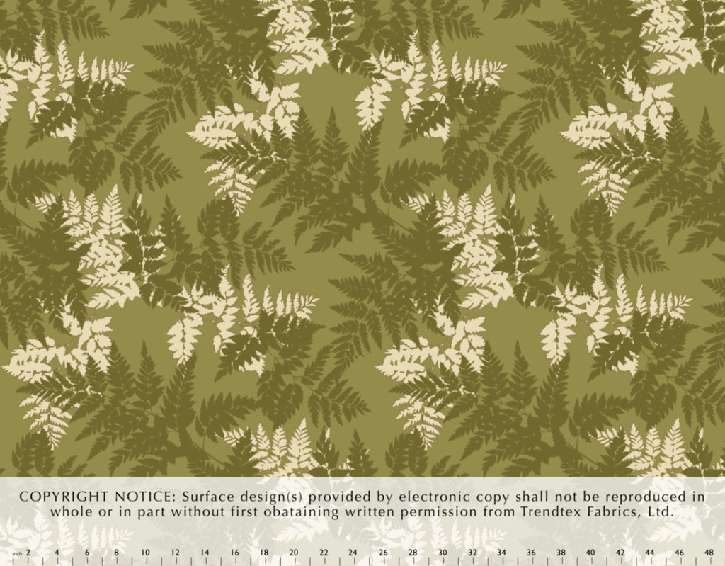 TKF-012 Olive