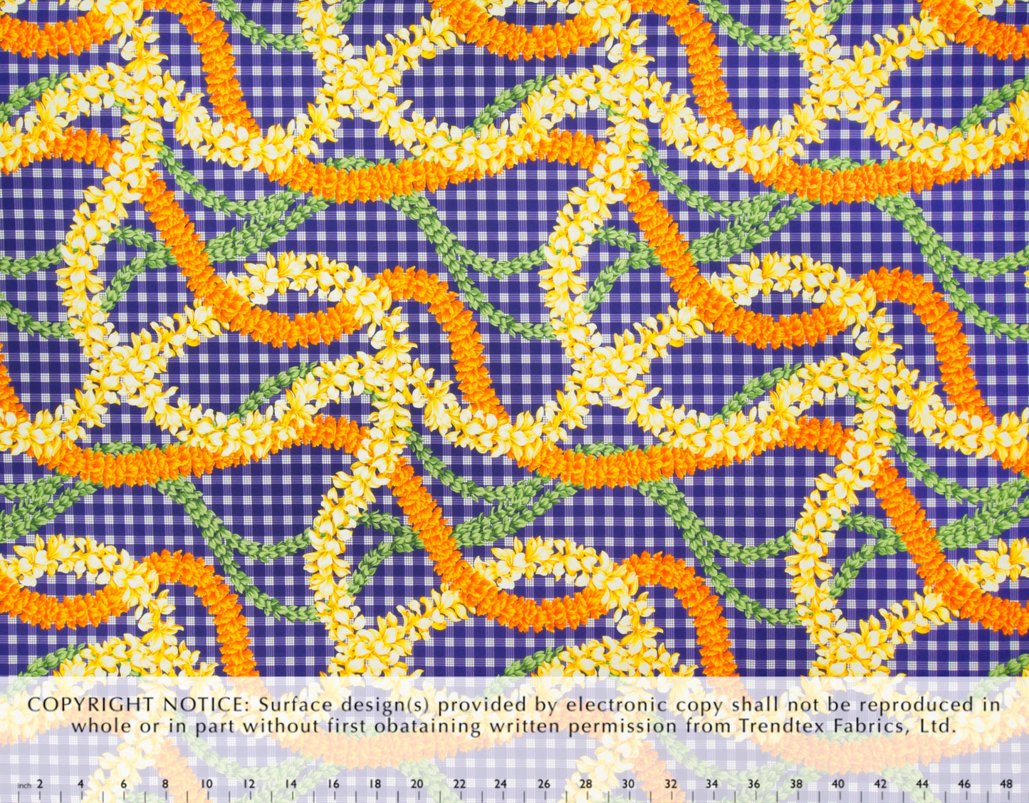 TKF-013 Purple