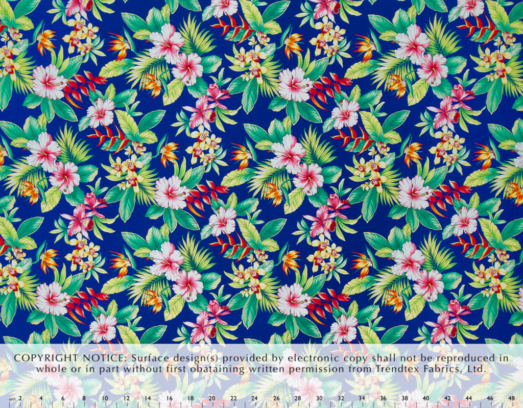 TKF-071 Royal