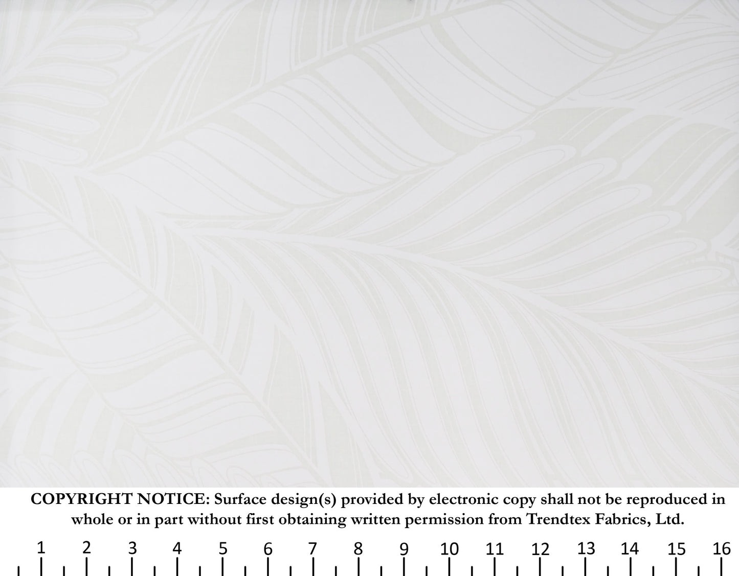 TKF-137 White/White