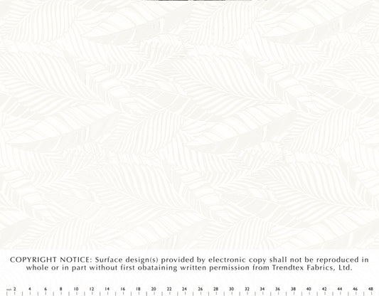 TKF-137 White/White