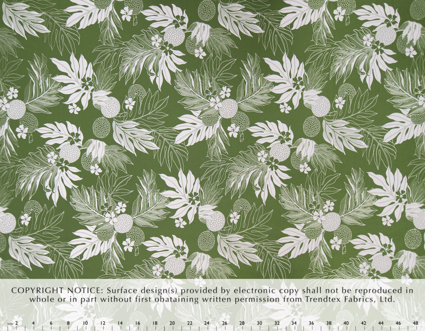 TKF-145 Olive