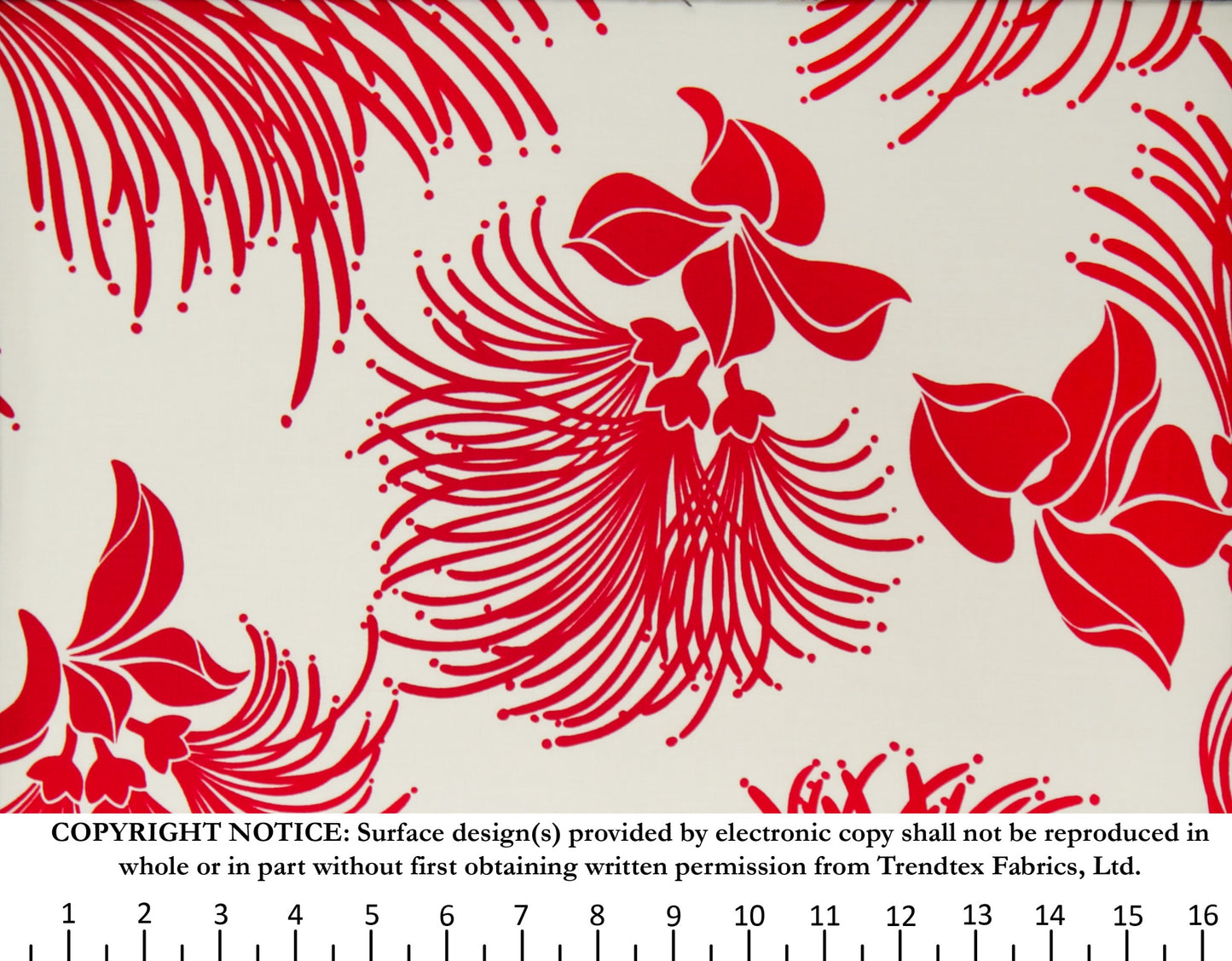 TKF-148 Cream/Red