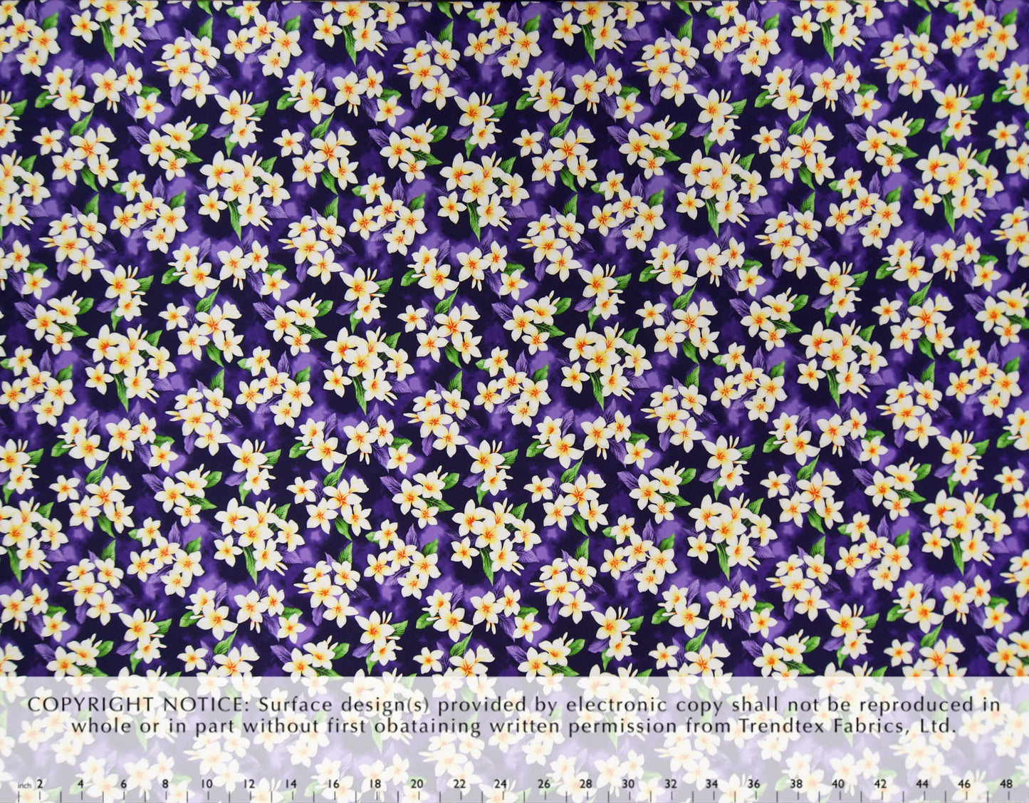 TKF-154 Purple