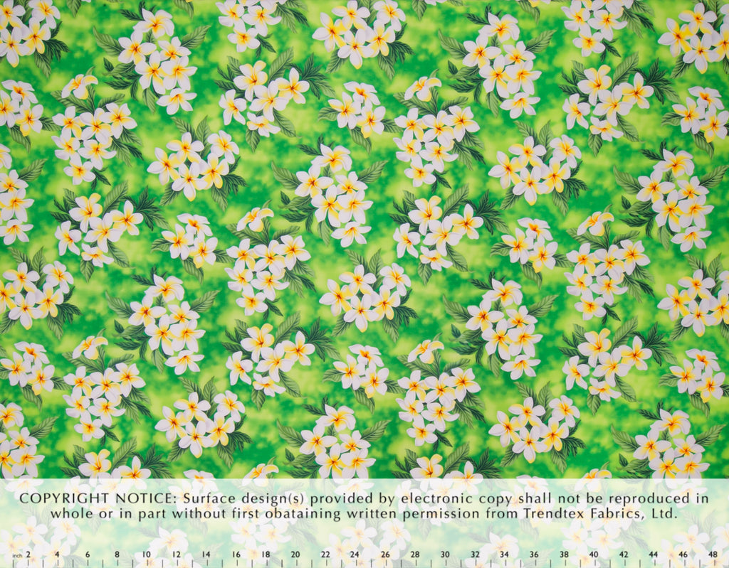 EH-F247R Lime  Trendtex Fabrics Cotton Poplin trendtexfabrics.myshopify.com TrendtexFabrics