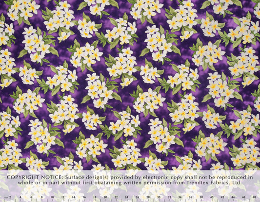 EH-F247R Purple Trendtex Fabrics Cotton Poplin trendtexfabrics.myshopify.com TrendtexFabrics