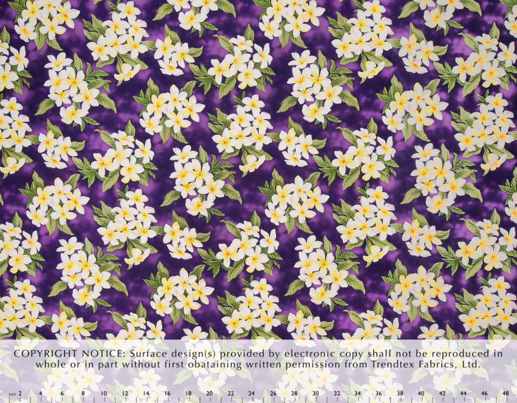 EH-F247R Purple  Trendtex Fabrics Cotton Poplin trendtexfabrics.myshopify.com TrendtexFabrics