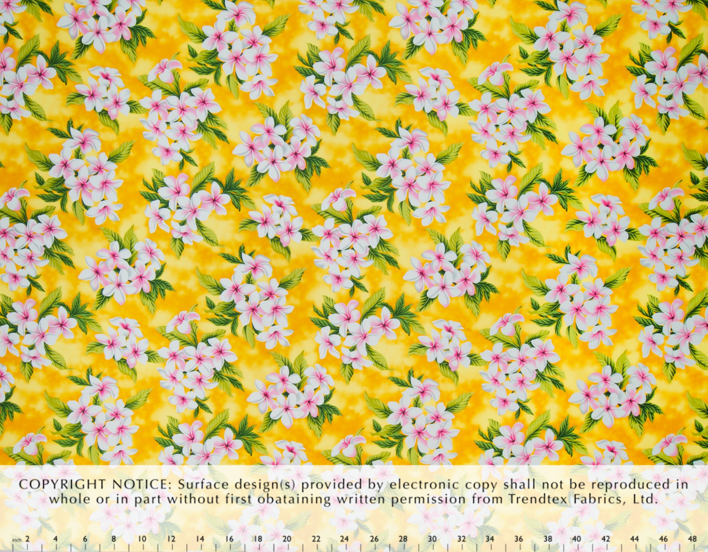 EH-F247R Yellow Trendtex Fabrics Cotton Poplin trendtexfabrics.myshopify.com TrendtexFabrics