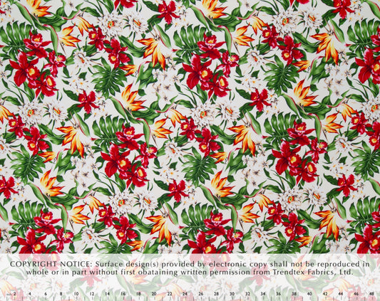 EH-J249 Off-White Trendtex Fabrics Rayon 165T trendtexfabrics.myshopify.com TrendtexFabrics