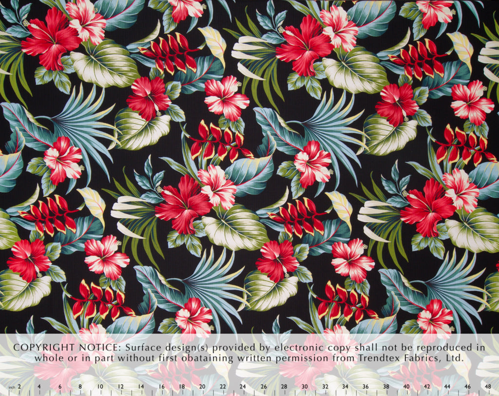 HA-038 Black (Cotton Dobby)  Trendtex Fabrics Cotton Dobby trendtexfabrics.myshopify.com TrendtexFabrics