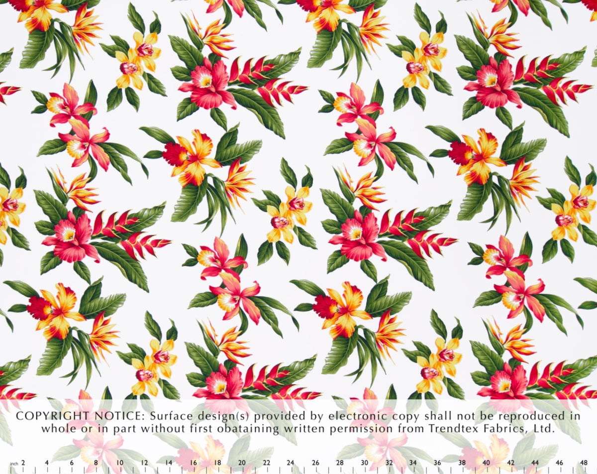 HN-034 White Trendtex Fabrics Cotton Poplin trendtexfabrics.myshopify.com TrendtexFabrics