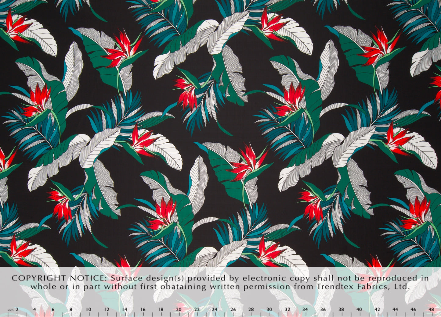 JY-011 Black Trendtex Fabrics Polyester Kapena trendtexfabrics.myshopify.com TrendtexFabrics