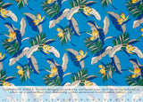 JY-011 Slate  Trendtex Fabrics Polyester Kapena trendtexfabrics.myshopify.com TrendtexFabrics