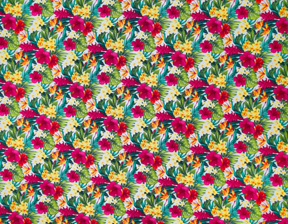 Cotton Manoa (Stock)