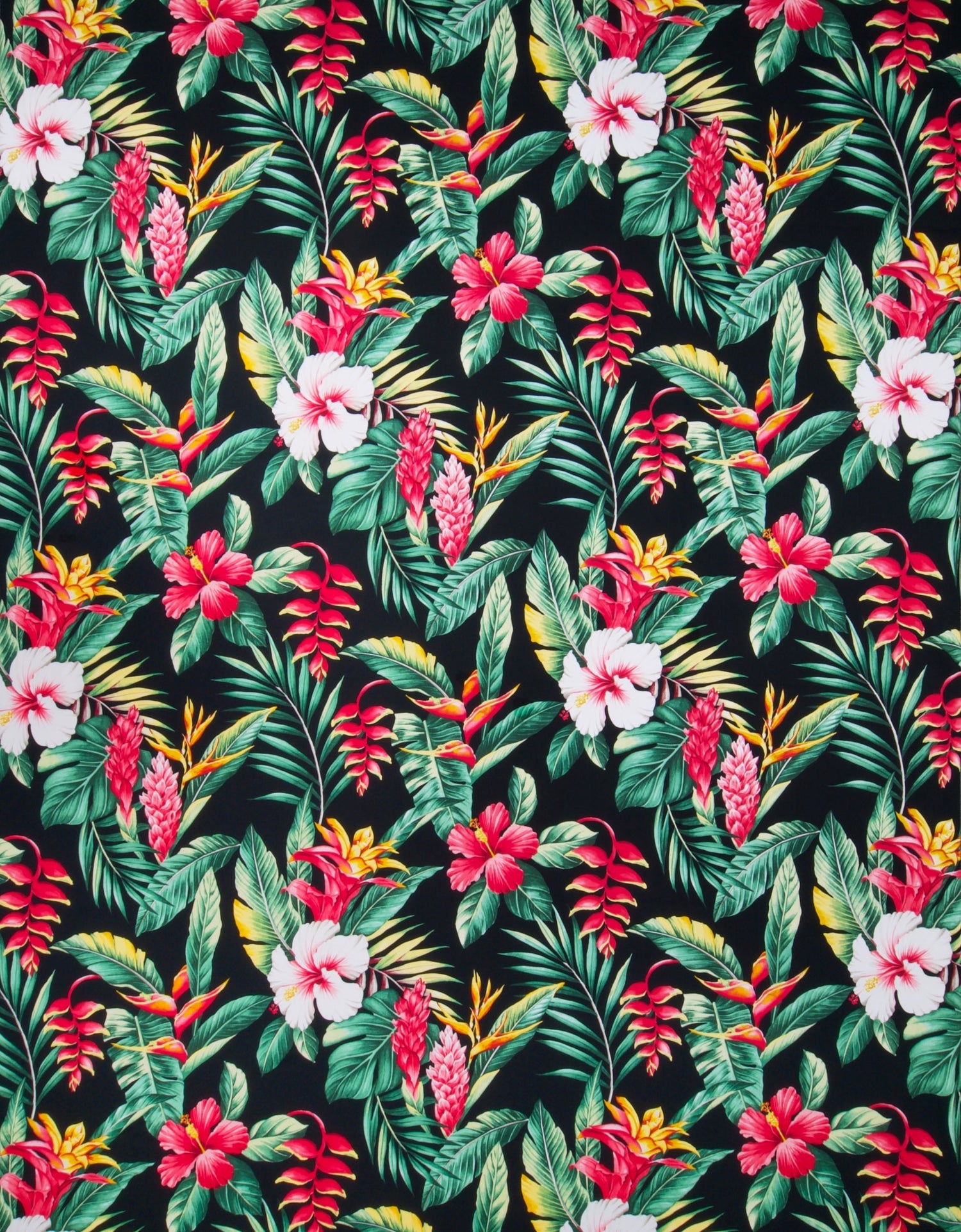 Cotton Poplin & Manoa (Stock)