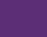 Solid (T/C) Bright Purple