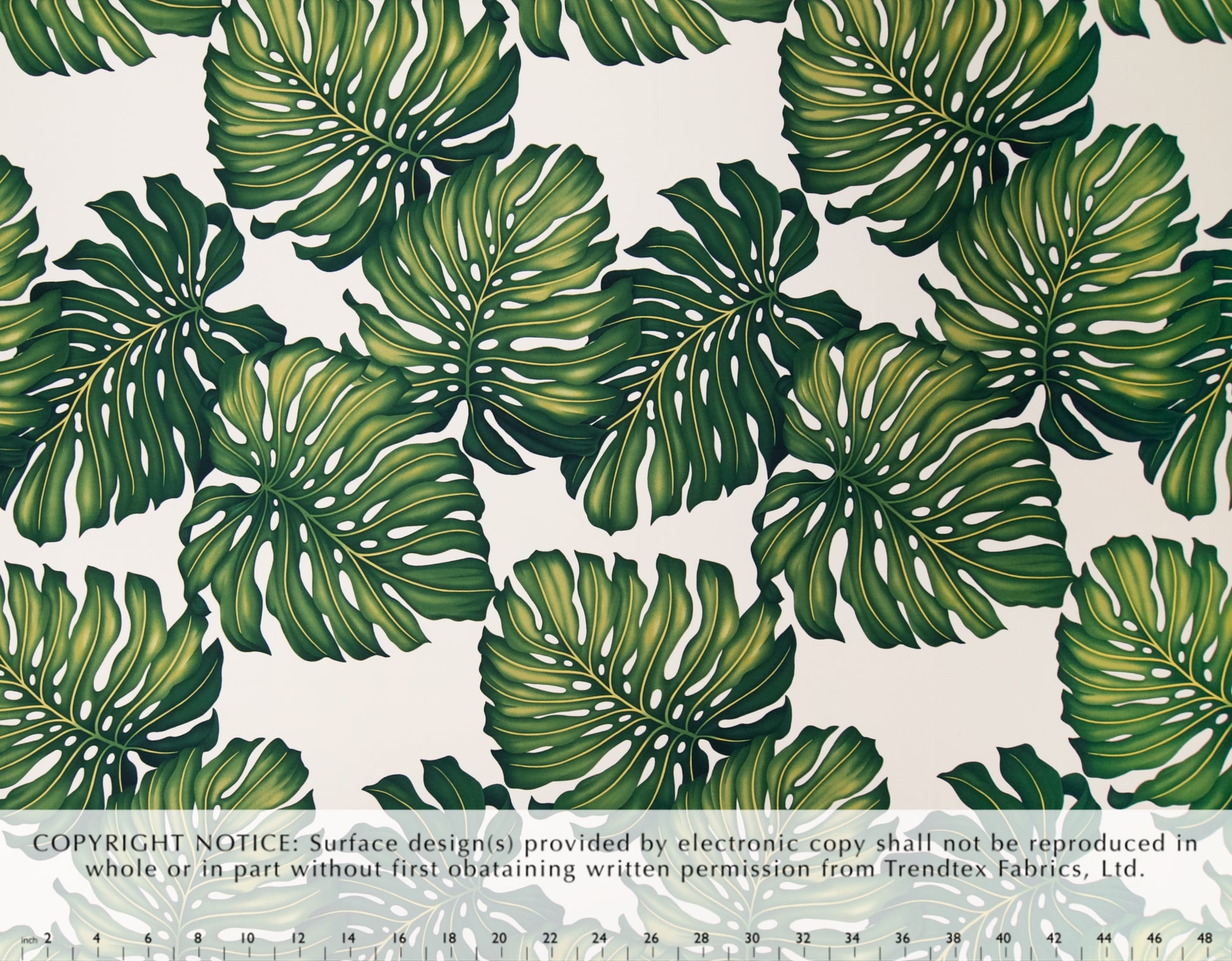 EH-3C06 Ohana Cream (Cotton Twill)  Trendtex Fabrics Cotton Twill trendtexfabrics.myshopify.com TrendtexFabrics