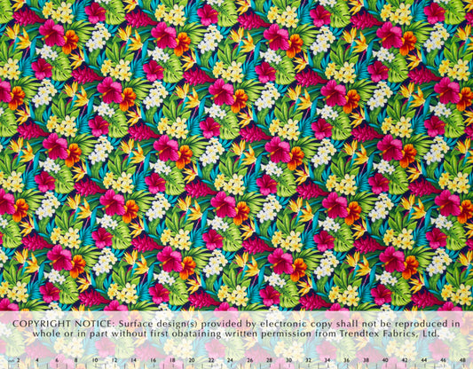 GS-004R2 Navy (Cotton Manoa)