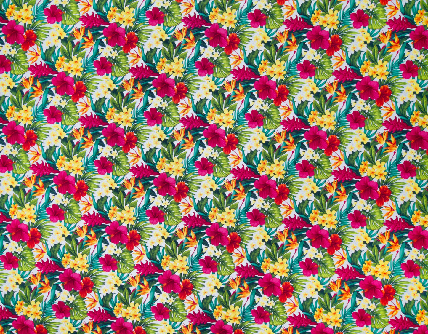 GS-004R2 White (Cotton Manoa)