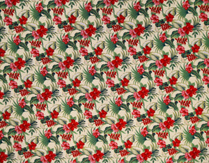 HA-038R Maize