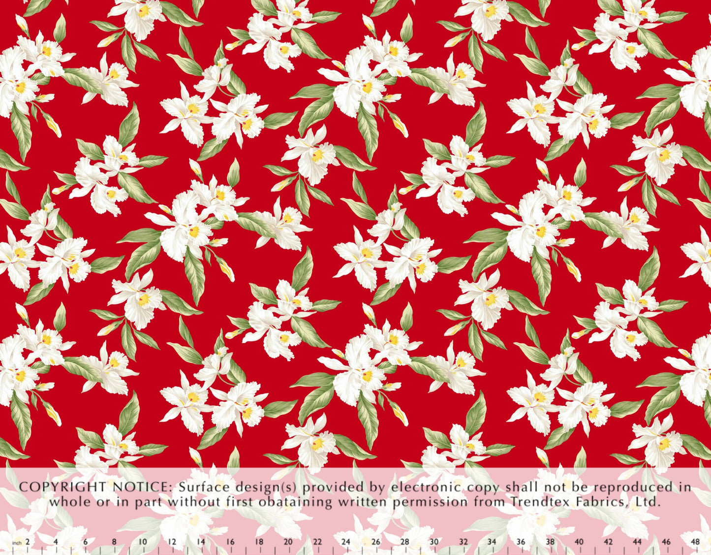 HA-058 Red