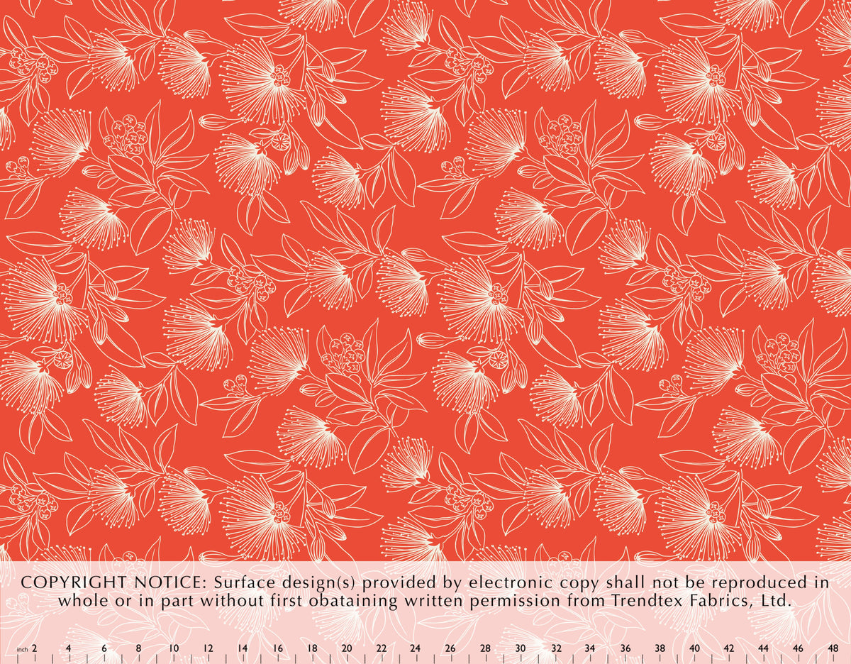 HD-040 Tangerine